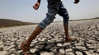 Οι Άνθρωποι Δεν Ξεπερνούν το 0,01% της Βιομάζας του Πλανήτη