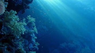 S.O.S από WWF Ελλάς για τους Κινδύνους που Απειλούν Περιβάλλον-Κοινωνία- Οικονομία από τις Εξορύξεις Υδρογονανθράκων