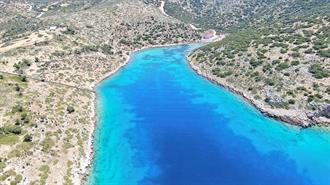 Ενα «Πράσινο Νοσοκομείο» για Δελφίνια στους Λειψούς