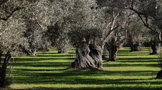 Θεσσαλονίκη: Ισχυρό Όπλο για την Αντιμετώπιση των Συνεπειών της Κλιματικής Αλλαγής η Αξιοποίηση Εγχώριων Ποικιλιών