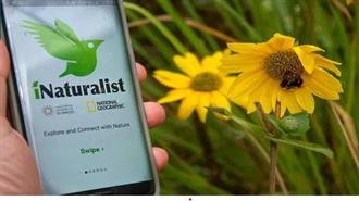 Μέσω iSea η Ελλάδα Γίνεται Μέλος στο iNaturalist