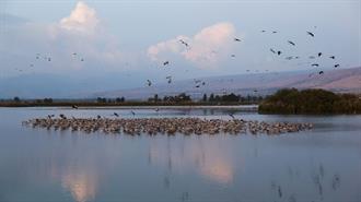 Διεθνής Έρευνα: Οι Λίμνες της Γης Χάνουν το Οξυγόνο τους Πιο Γρήγορα και Από τους Ωκεανούς Εξαιτίας της Κλιματικής Αλλαγής