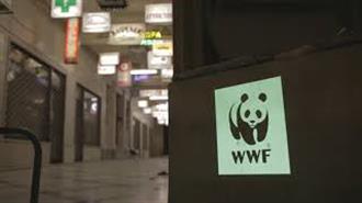 WWF Ελλάς- Eνεργοποιήσου:  Ένας Οδηγός με Πρακτικές Συμβουλές & Ένα Βίντεο για το Πώς Μπορούμε να Πάρουμε  την Ενέργεια στα Χέρια μας