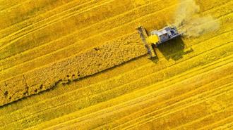 Ακαδημαϊκοί του Princeton κατά της Πολιτικής της ΕΕ για τα Βιοκαύσιμα: Βλάπτει τους Κλιματικούς Στόχους