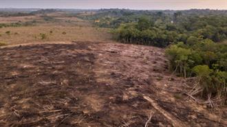 Το Τροπικό Δάσος του Αμαζονίου Αποψιλώνεται με Ρυθμούς – Ρεκόρ