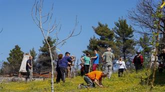 Βίκος και We4all Φύτεψαν 1.000 Καρποφόρα Δέντρα στην Βόρεια Εύβοια