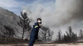 Αναδασωτέα 3.123 Στρέμματα της Καμένης Δασικής Έκτασης από την Πυρκαγιά της 4/6, στο Δήμο Βάρης-Βούλας-Βουλιαγμένης