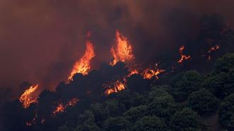 Διεθνής Mελέτη: Αυξημένο Κίνδυνο Πυρκαγιών στη Μεσόγειο Φέρνει η Κλιματική Αλλαγή