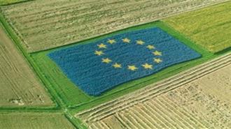 Παραγωγοί Φρούτων και Λαχανικών Προσπαθούν να Σώσουν τη Συγκομιδή τους με τις Τιμές της Ενέργειας να Εκτοξεύονται στα Ύψη