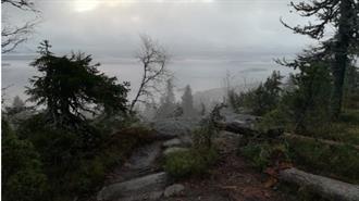 Εκνευρισμός στη Φινλανδία με τη Στρατηγική της ΕΕ για τη Βιοποικιλότητα