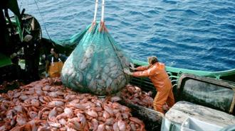 Έκθεση ΟΗΕ: Λιγότερη Υπερεκμετάλλευση Αλλά Απέχει ο Στόχος για Βιώσιμη Αλιεία σε Μεσόγειο και Μαύρη Θάλασσα
