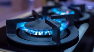 Θέμα Αρχής*