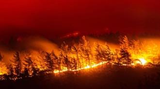 WWF-Δασικές Πυρκαγιές:  Όλοι Συμφωνούμε στις Διαπιστώσεις, Τί Κάνουμε Όμως Γι’ Αυτές;