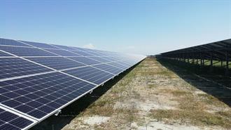 China’s Trina Solar Supplies 140 MW PV Panels to Albania’s Karavasta Plant - Report