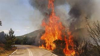 Πού (Δεν) Πέτυχε η Πρόληψη στα Δάση