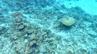 Οι Φιλιππίνες Κατηγορούν την Κίνα για Τεράστιες Ζημιές σε Κοραλλιογενείς Υφάλους