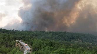 Οι άγνωστοι Ηρωες της Φωτιάς στον Εβρο – Πώς Σώθηκαν 100.000 Στρέμματα