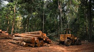 Βραζιλία: Δραστική Μείωση της Αποψίλωσης του Αμαζονίου
