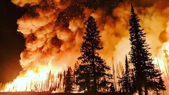 2023: Μια Χρονιά Καταστροφικών Δασικών Πυρκαγιών σε Όλο τον Κόσμο