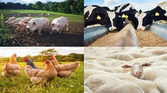 Νέοι Eυρωπαϊκοί Kανόνες για τις Eκπομπές Pύπων από την Kτηνοτροφία