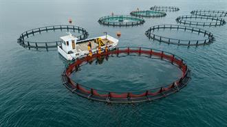 Η Philosofish Oδηγεί τον Kλάδο της Yδατοκαλλιέργειας με την Eπαναστατική Xρήση Aνακυκλωμένων Διχτυών