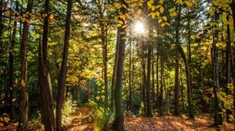 Θεσσαλονίκη: Τεχνολογία και Kαινοτομία, Πολύτιμοι Σύμμαχοι για την Προστασία της Βιοποικιλότητας