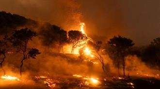 ΕΕ: Στην Αλεξανδρούπολη η Μεγαλύτερη Μεμονωμένη Πυρκαγιά που Έχει Σημειωθεί στην Ευρώπη Από τη Δεκαετία του 1980