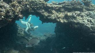 Γιατί Είναι Πολύτιμοι οι Κοραλλιογενείς Ύφαλοι;