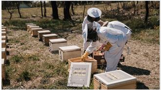 TÜV AUSTRIA Hellas και Ξενοδοχειακός Όμιλος SANI/ IKOS:  Μεγάλη Πρωτοβουλία Αναδοχής Μελισσιών για την Ανασυγκρότηση της Βιοποικιλότητας της Πάρνηθας Μετά τις Πυρκαγιές