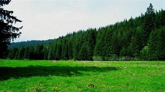 Σκυλακάκης: «Παρά τις Δυσκολίες, Έχουμε Εκπονήσει Ένα Ολοκληρωμένο Σχέδιο για την Προστασία των Δασών μας»