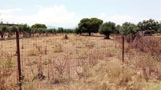 Ακαθάριστα Οικόπεδα – Πυροπροστασία: Πού Κάνει Ένα Βήμα Πίσω το ΥΠΕΝ