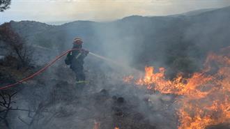 WWF: Τι μας Δείχνει ο Έβρος για τις Δασικές Πυρκαγιές