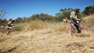 ΠΟΜΙΔΑ: Ζητά Παράταση ως τις 20 Ιουλίου και Μείωση Προστίμα στα 100 Ευρώ για τα Ακαθάριστα Οικόπεδα