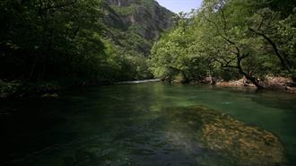 Activists Say Bosnian Dam Threatens River Life and Rafters