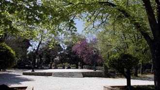 Δήμος Αθηναίων: Ομόφωνα Εγκρίθηκε ο Νέος Κανονισμός Πρασίνου