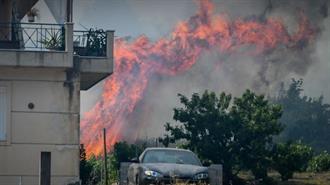 WWF Ελλάς: Πρόταση για τον σχεδιασμό πρόληψης Δασικών Πυρκαγιών σε Τοπικό Επίπεδο