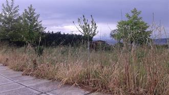 Υπουργείο Κλιματικής Κρίσης και Πολιτικής Προστασίας: Παράταση Υποβολής Δηλώσεων Καθαρισμού Οικοπέδων ως τις 15 Ιουλίου