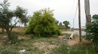 Κικίλιας: Σε 833.722 Ανήλθαν οι Πολίτες που Καθάρισαν τα Οικόπεδά τους