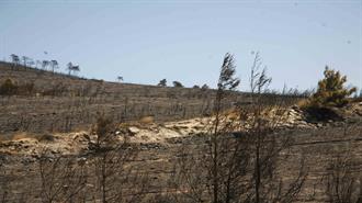 ΕΚΠΑ: Έρευνα για τις Συνέπειες των Πυρκαγιών στη Βιοποικιλότητα της Πεντέλης