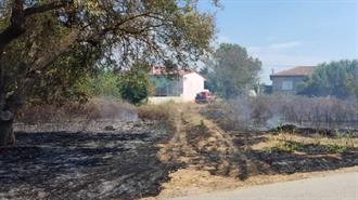 Πώς Eπηρέασαν οι Kαθαρισμοί των Oικοπέδων την Eξέλιξη των Πρόσφατων Πυρκαγιών στην Αττική