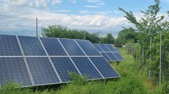 Νέα Φ/Β 351 MW Εγκαταστάθηκαν τον Αύγουστο – Προβληματισμός για «Μονοκαλλιέργεια»