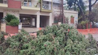 Δήμος Καλαμαριάς: Μηνυτήρια Αναφορά Κατά ΔΕΔΔΗΕ για την Συνεχιζόμενη Διακοπή Ρεύματος σε Τμήματα της Πόλης Μετά την Κακοκαιρία Bora