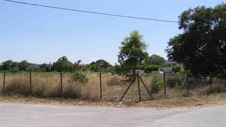 Η Απόφαση για Παράταση Δηλώσεων Καθαρισμού Οικοπεδικών και Ακάλυπτων Χώρων