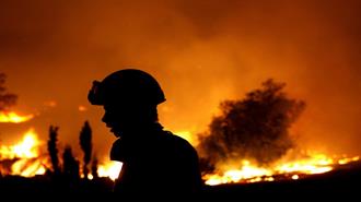 Κοινή Ανακοίνωση Από WWF Ελλάς, Ομάδα FLAME και ΙΜΔΟ – ΕΛΓΟ ΔΗΜΗΤΡΑ για την Έναρξη της Αντιπυρικής Περιόδου 2025