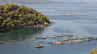 Ακταία: Ανησυχία για την Επιτάχυνση της Επέκτασης των Υδατοκαλλιεργειών στην Ελλάδα