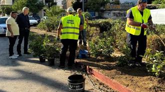 Δήμο Πειραιά: 70 Νέα Δέντρα Φυτεύτηκαν με Αφορμή την Παγκόσμια Ημέρα Περιβάλλοντος