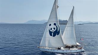 Βlue Panda: Ξανά στην Ελλάδα για την Προστασία της Ελληνικής Τάφρου!