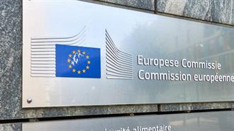 Η Ε.Ε. και ο Στρατηγικός της Λήθαργος