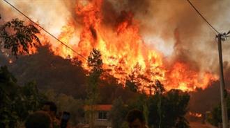 Στάχτη 454.000 Στρέμματα στην Ελλάδα από την Αρχή του Έτους