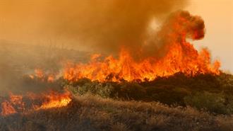 Οι Άγραφες Σελίδες της Σωτηρίας των Δασών